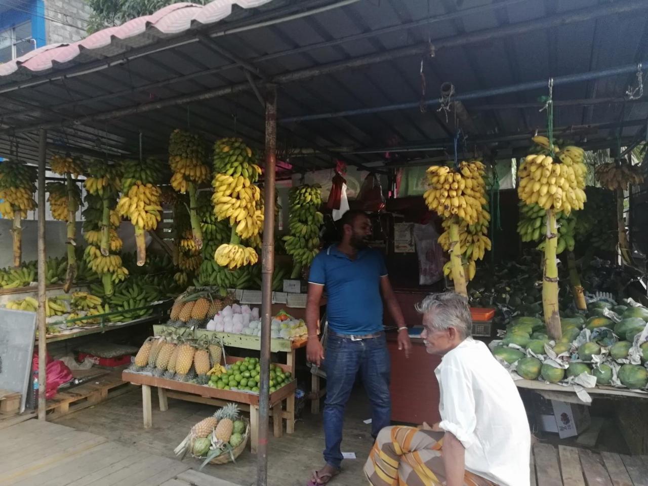 فندق Mahaweli Shades كاندي المظهر الخارجي الصورة
